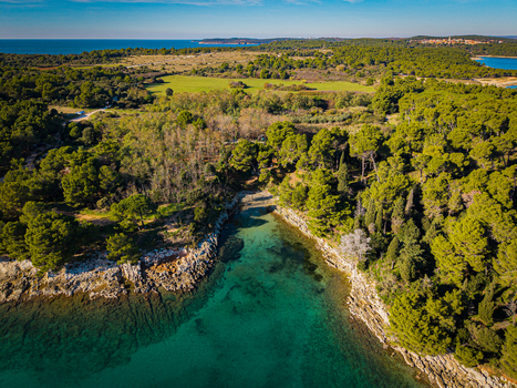 Aerial view of the vibrant turquoise waters meeting the rugged coastline beneath a canopy of lush green trees creating a stunning contrast of colors and textures south Istria County Croatia.