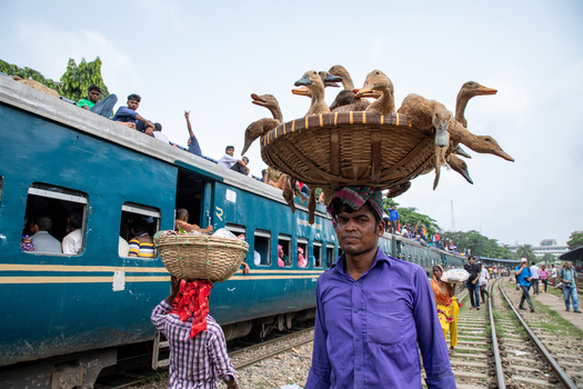 Dhaka Bangladesh 14 June 2018 View of a man carrying a large basket of ducks on his head at the Airport Railway Station with a crowded train and passengers in the background. Dhaka Bangladesh 14 June 2018 View of a man carrying a large basket of ducks on his head at the Airport Railway Station with a crowded train and passengers in the background.