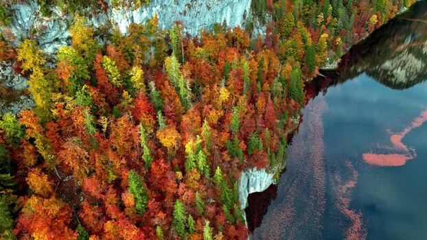 Aerial view of Attersee and autumn forest Austria.