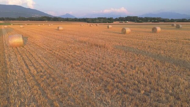 Aerial view of hay bales in a harvested field with mountains Switzerland.