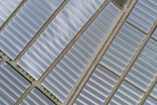 Aerial view of geometric rows of greenhouses and agricultural polytunnels separated by dirt paths in Paestum Campania Italy.
