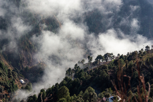 View of a mountain slope draped in ethereal clouds trees standing tall against the misty veil in Pir Chanasi Azad Kashmir Pakistan. View of a mountain slope draped in ethereal clouds trees standing tall against the misty veil in Pir Chanasi Azad Kashmir Pakistan.