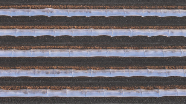 Aerial view of rows of white plastic polytunnels covering fruit crops in a cultivated field in the Po Valley Fiorenzuola d Arda Emilia Romagna Italy. Aerial view of rows of white plastic polytunnels covering fruit crops in a cultivated field in the Po Valley Fiorenzuola d Arda Emilia Romagna Italy.