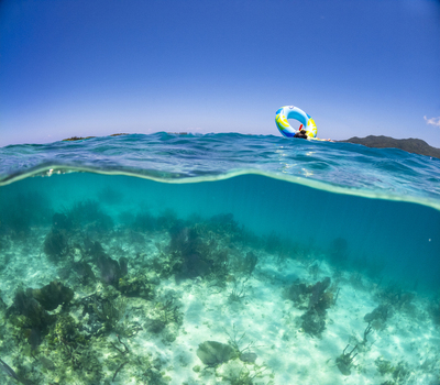 View of a person floating on a colorful inflatable ring above a vibrant coral reef in crystal clear turquoise water Guanaja Bay Islands Department Honduras. View of a person floating on a colorful inflatable ring above a vibrant coral reef in crystal clear turquoise water Guanaja Bay Islands Department Honduras.