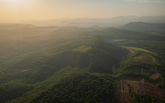 Aerial view of the rolling hills and vineyards of Provence bathed in the warm golden light of sunset with distant mountains in Provence Alpes Cote d Azur France.