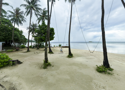 Aerial view of pristine sands meet the turquoise sea under a canopy of swaying palms at Bobby Beach Karimunjawa Jawa Tengah Indonesia.