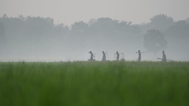 View of farmers walking through misty fields in Bogura Bangladesh.