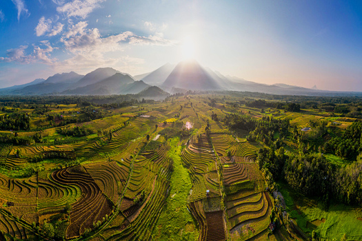 Aerial view of Kemumu terraced rice fields at sunrise with lush green hills and mountains in the background in Arma Jaya Bengkulu Indonesia. Aerial view of Kemumu terraced rice fields at sunrise with lush green hills and mountains in the background in Arma Jaya Bengkulu Indonesia.