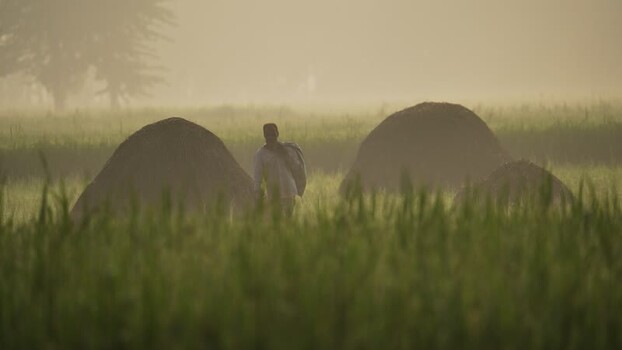 View of a farmer walking through misty fields in Bogura Bangladesh.