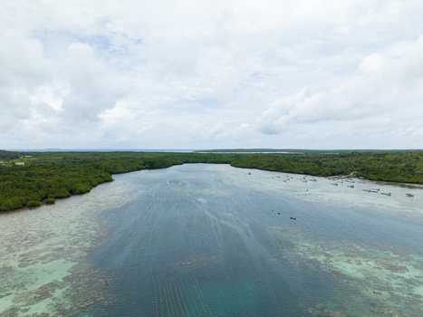 Aerial view of the tranquil turquoise waters meet the lush mangrove forests creating a vibrant contrast under the expansive sky Karimunjawa Central Java Indonesia.