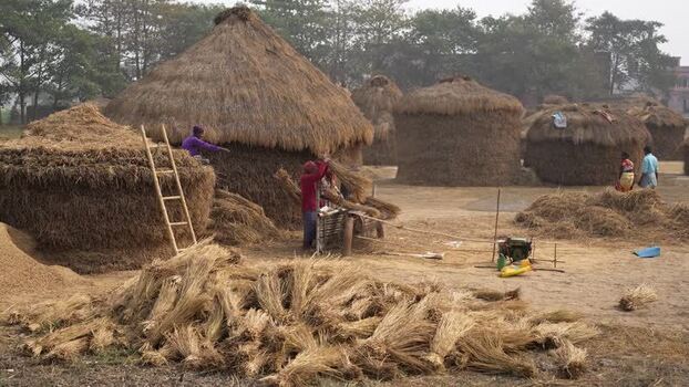 View of people working near large straw stacks in Patna India.