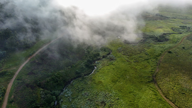 Aerial view of lush green hills and a winding dirt road partially covered by low hanging clouds and mist Garden Route District Municipality Western Cape South Africa.