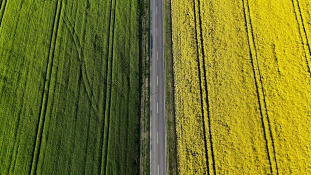 Aerial view of a straight asphalt road dividing vibrant green crops and bright yellow rapeseed fields under soft daylight in Butlar Thuringia Germany. Aerial view of a straight asphalt road dividing vibrant green crops and bright yellow rapeseed fields under soft daylight in Butlar Thuringia Germany.