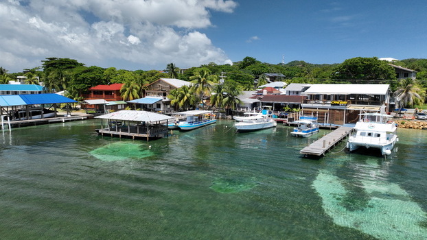 Aerial view of boats docked at piers in the turquoise waters of West End with wooden buildings and lush tropical trees along the coastline in West End Bay Islands Department Honduras.