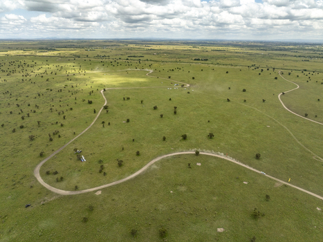 Aerial view of Swara Plains Conservancy with winding dirt roads scattered acacia trees and vast green plains under a cloudy sky Nairobi Machakos County Kenya. Aerial view of Swara Plains Conservancy with winding dirt roads scattered acacia trees and vast green plains under a cloudy sky Nairobi Machakos County Kenya.