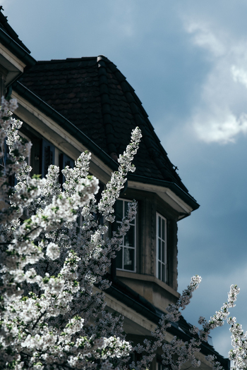 Zurich Switzerland 02 April 2023 View of a building s corner with a dark roof contrasts with the soft white blossoms against a cloudy sky. Zurich Switzerland 02 April 2023 View of a building s corner with a dark roof contrasts with the soft white blossoms against a cloudy sky.