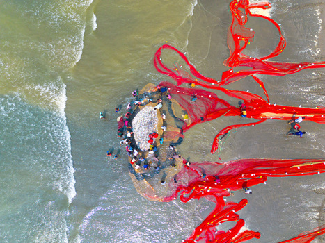 Cox s Bazar Bangladesh 10 March 2026 Aerial view of fishermen hauling a massive vibrant red net from the sandy shore into the turquoise sea.
