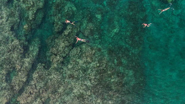 Aerial view of tourists snorkeling over a vibrant coral reef in turquoise ocean waters with swimmers exploring the reef. Flic en Flac Riviere Noire District Mauritius. Aerial view of tourists snorkeling over a vibrant coral reef in turquoise ocean waters with swimmers exploring the reef. Flic en Flac Riviere Noire District Mauritius.
