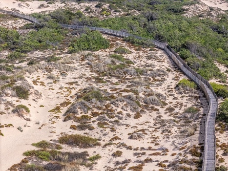 Aerial view of the wooden boardwalk winding through the sand dunes and coastal vegetation at Praia do Guincho in Cascais Lisbon Portugal. Aerial view of the wooden boardwalk winding through the sand dunes and coastal vegetation at Praia do Guincho in Cascais Lisbon Portugal.