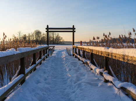 View of a snow covered wooden pier leading towards a frozen lake surrounded by reeds during a golden winter sunset in Trakai Vilnius County Lithuania. View of a snow covered wooden pier leading towards a frozen lake surrounded by reeds during a golden winter sunset in Trakai Vilnius County Lithuania.