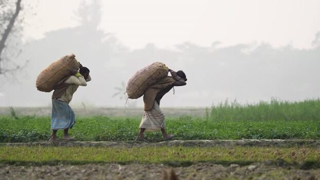 View of men carrying heavy sacks through green fields Bangladesh.