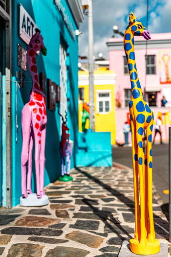 View of colorful giraffe sculptures standing on a stone sidewalk outside an art gallery in the Bo Kaap neighborhood of Cape Town Western Cape South Africa. View of colorful giraffe sculptures standing on a stone sidewalk outside an art gallery in the Bo Kaap neighborhood of Cape Town Western Cape South Africa.