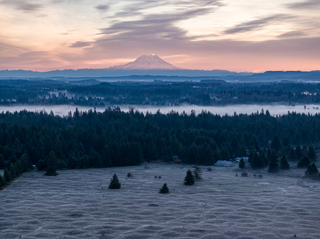 Aerial view of Mima Mounds Natural Area Preserve with Mount Rainier visible over a misty evergreen forest during a colorful sunrise Olympia Washington United States.