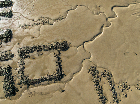 Aerial view of oyster beds mosaic the expansive mudflats a textured tapestry of nature s artistry Bourcefranc le Chapus Bourcefranc le Chapus France.