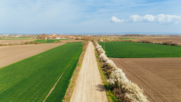 Aerial view of a long straight dirt road cuts through patchwork fields of vibrant green and earthy brown leading towards the distant town Sremska Mitrovica Vojvodina Serbia. Aerial view of a long straight dirt road cuts through patchwork fields of vibrant green and earthy brown leading towards the distant town Sremska Mitrovica Vojvodina Serbia.