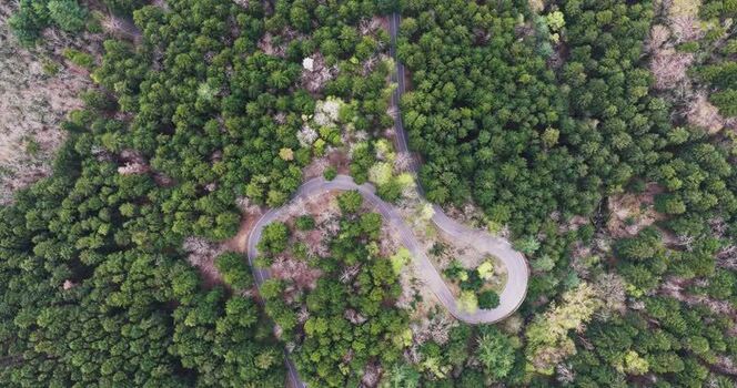 Aerial view of a winding road through a dense forest Italy. Aerial view of a winding road through a dense forest Italy.