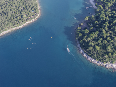 Aerial view of a sailboat in the clear blue waters of Pjescana Uvala surrounded by lush pine forests along the coastline in Pjescana Uvala Pula Istarska zupanija Croatia.