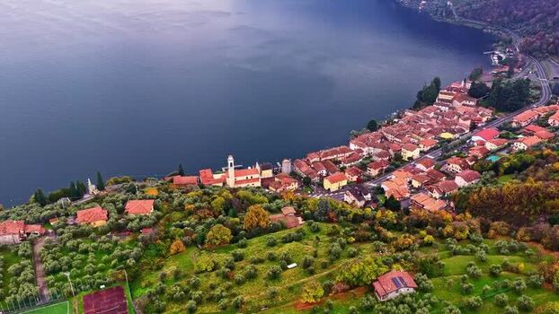 Aerial view of a lakeside town with olive groves in Italy.