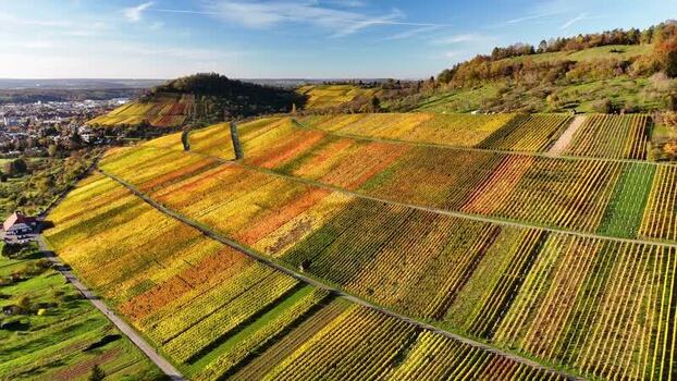 Aerial view of colorful autumn vineyards in Metzingen Germany.