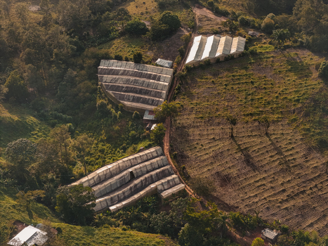 Aerial view of greenhouses nestled in the lush hilly agricultural landscape of Jarabacoa La Vega Province Dominican Republic.