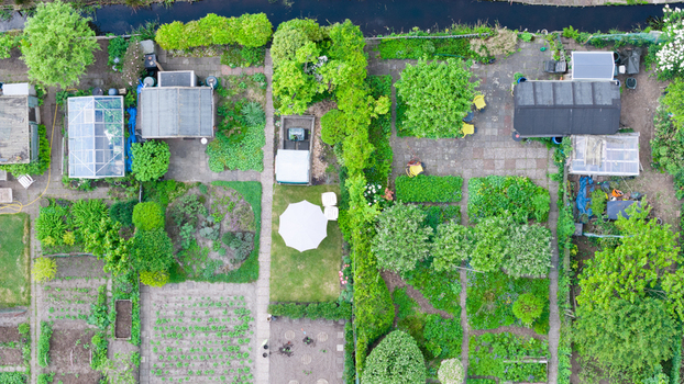Aerial view of Amateur Gardeners Association Het Kloosterpark with lush green plots small sheds greenhouses and a white sun umbrella in De Bilt Utrecht Netherlands.