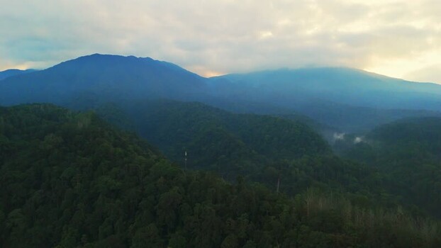 Aerial view of lush green mountains and misty forests Indonesia. Aerial view of lush green mountains and misty forests Indonesia.