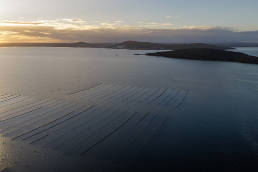 Aerial view of Camp Quaranup and oyster farming lines in the bay at sunset Vancouver Peninsula Western Australia Australia. Aerial view of Camp Quaranup and oyster farming lines in the bay at sunset Vancouver Peninsula Western Australia Australia.