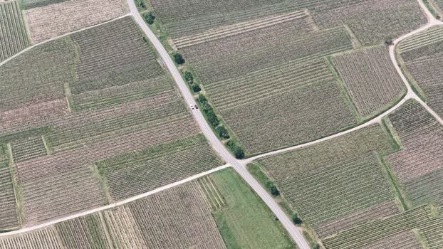 Aerial view of geometric vineyard patterns and rural roads France.