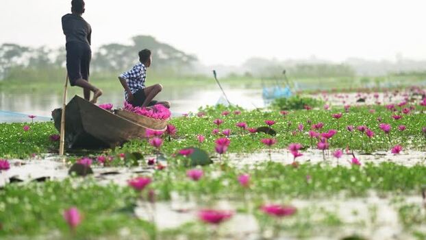View of people in a boat on a water lily pond Bangladesh. View of people in a boat on a water lily pond Bangladesh.