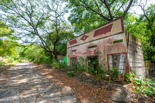 View of an abandoned building with weathered walls and graffiti surrounded by lush green trees and overgrown vegetation along a dirt path.