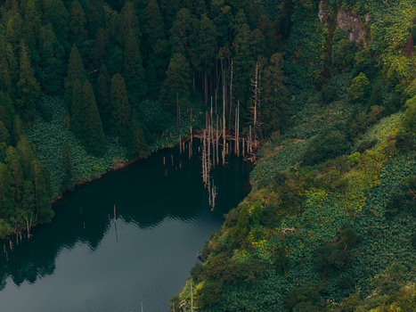Aerial view of Caldeira Funda lake with dark water surrounded by lush green forest and dead tree trunks in Lajes das Flores Azores Portugal. Aerial view of Caldeira Funda lake with dark water surrounded by lush green forest and dead tree trunks in Lajes das Flores Azores Portugal.