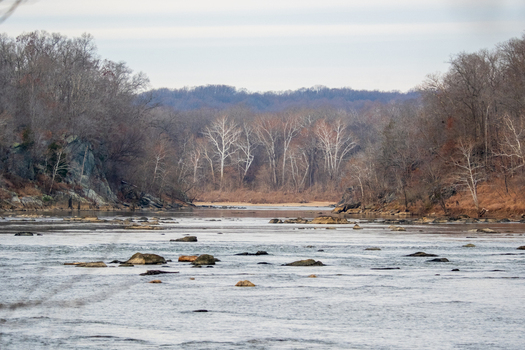View of a river flowing through a forest with bare trees under a cloudy sky in the serene landscape Scott s Run Nature Preserve Virginia United States. View of a river flowing through a forest with bare trees under a cloudy sky in the serene landscape Scott s Run Nature Preserve Virginia United States.