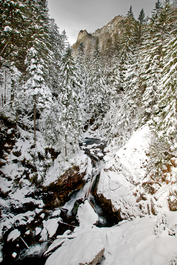 View of a small waterfall flowing through a dense snow covered pine forest in the Tatra Mountains Tatra County Lesser Poland Poland. View of a small waterfall flowing through a dense snow covered pine forest in the Tatra Mountains Tatra County Lesser Poland Poland.
