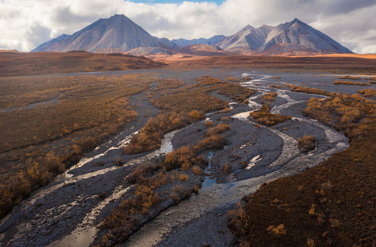 Aerial view of a braided river winding through the tundra landscape with the Brooks Range mountains under a cloudy sky Coldfoot Alaska United States.