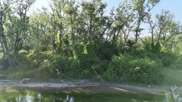 Aerial view of lush green trees along a sandy shoreline Canada. Aerial view of lush green trees along a sandy shoreline Canada.