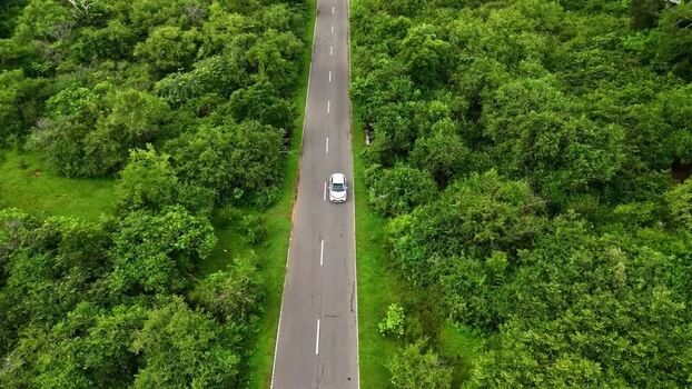 Aerial view of a car on a road Sri Lanka.