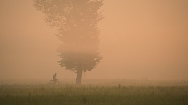 View of a person cycling past a tree in thick fog Bangladesh.