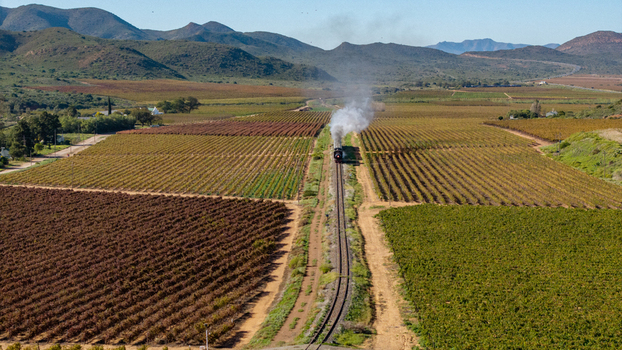 Aerial view of a vintage steam train emitting white smoke as it travels through lush vineyards and rolling hills in Robertson Western Cape South Africa.
