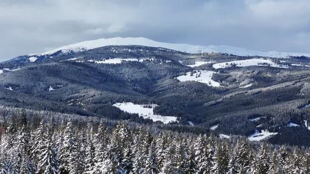 Aerial view of snowy mountains and pine forests Austria.