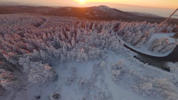 FPV aerial view of snowy forest at sunset Germany.